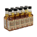 Bird Dog Hot Cinnamon Whiskey 10PK 50ML bottle