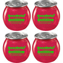 Buzzballz Watermelon Smash Pre-Mixed Cocktails 4-Pack bottle