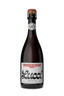 Lucci Lambrusco Reggiano DOC Dry Sparkling Wine Secco 750ml bottle
