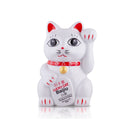 Lucky Cat Baijiu 750ml bottle