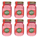 Ole Smoky Sour Watermelon Moonshine Mini 50ml 6pk bottle