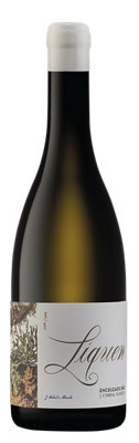 J. Cabral Almeida Liquen Encruzado Dão Branco 750ml